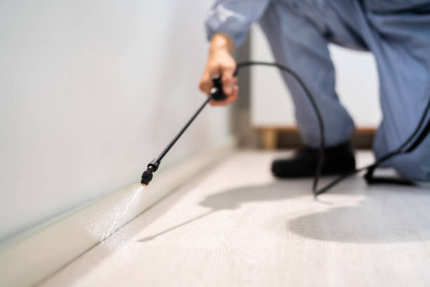 Licensed Cockroach Control service in Orangeburg, SC - Nex Pest Control