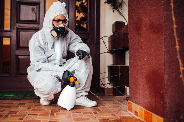Reliable Cockroach Control contractor in Orangeburg, SC by Nex Pest Control